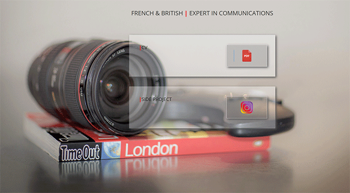 Projets professionnels